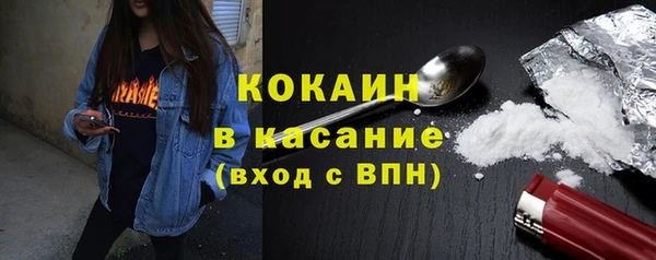 шишки Аркадак