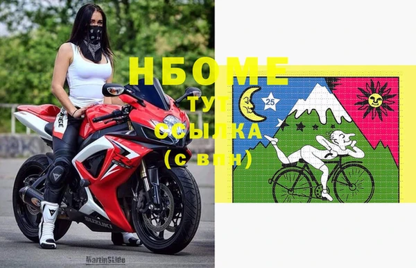 шишки Аркадак