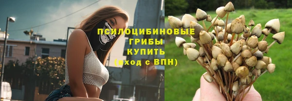 шишки Аркадак