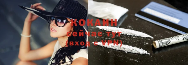 шишки Аркадак