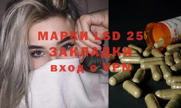шишки Аркадак