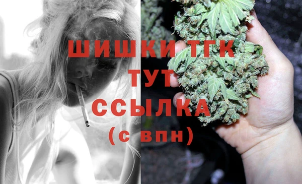 шишки Аркадак