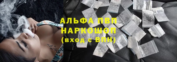шишки Аркадак