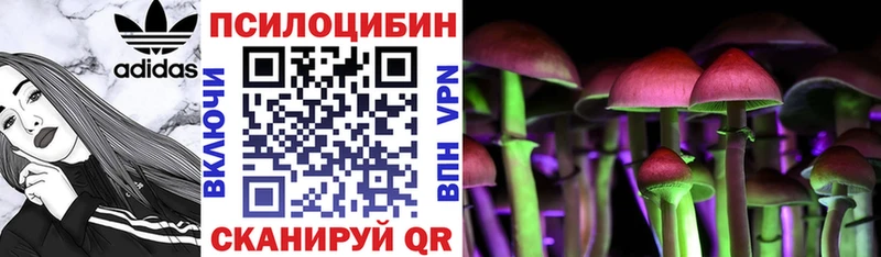 Галлюциногенные грибы прущие грибы  Рославль 