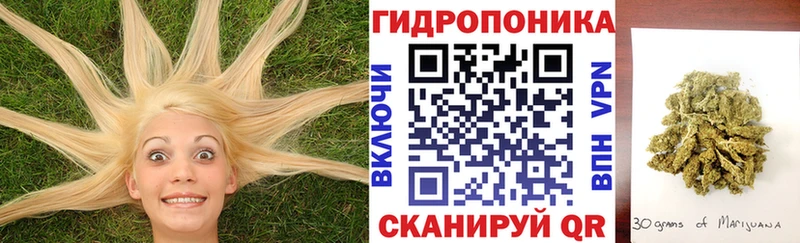 Шишки марихуана VHQ  дарнет шоп  Рославль 